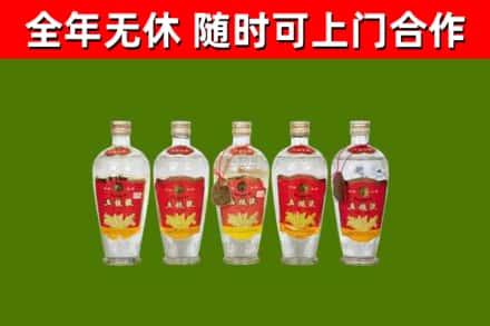 津南区烟酒回收公斤五粮液.jpg