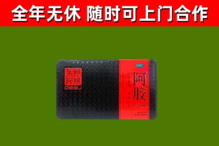 津南区回收阿胶